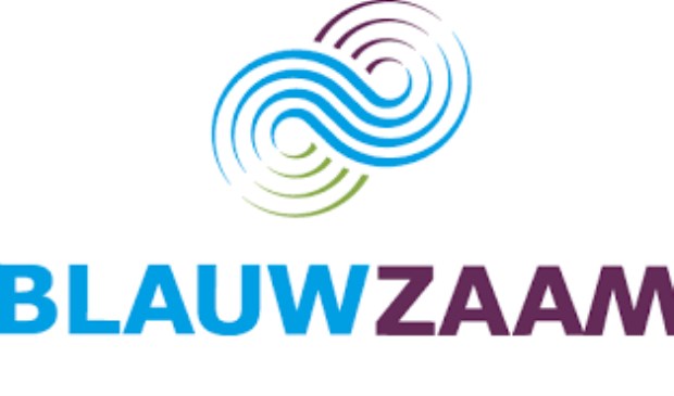 Blauwzaam